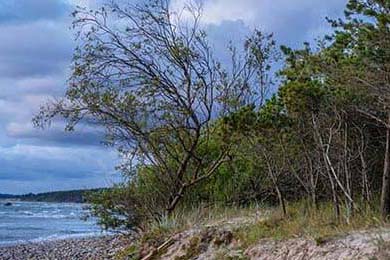 世界滑雪巡回赛中国选手再创佳绩，摘得多枚奖牌，国际滑雪冠军