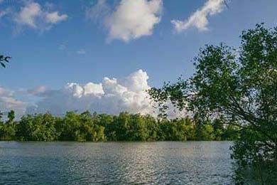 中国篮球运动员团队合作，中国篮球队运动员名单